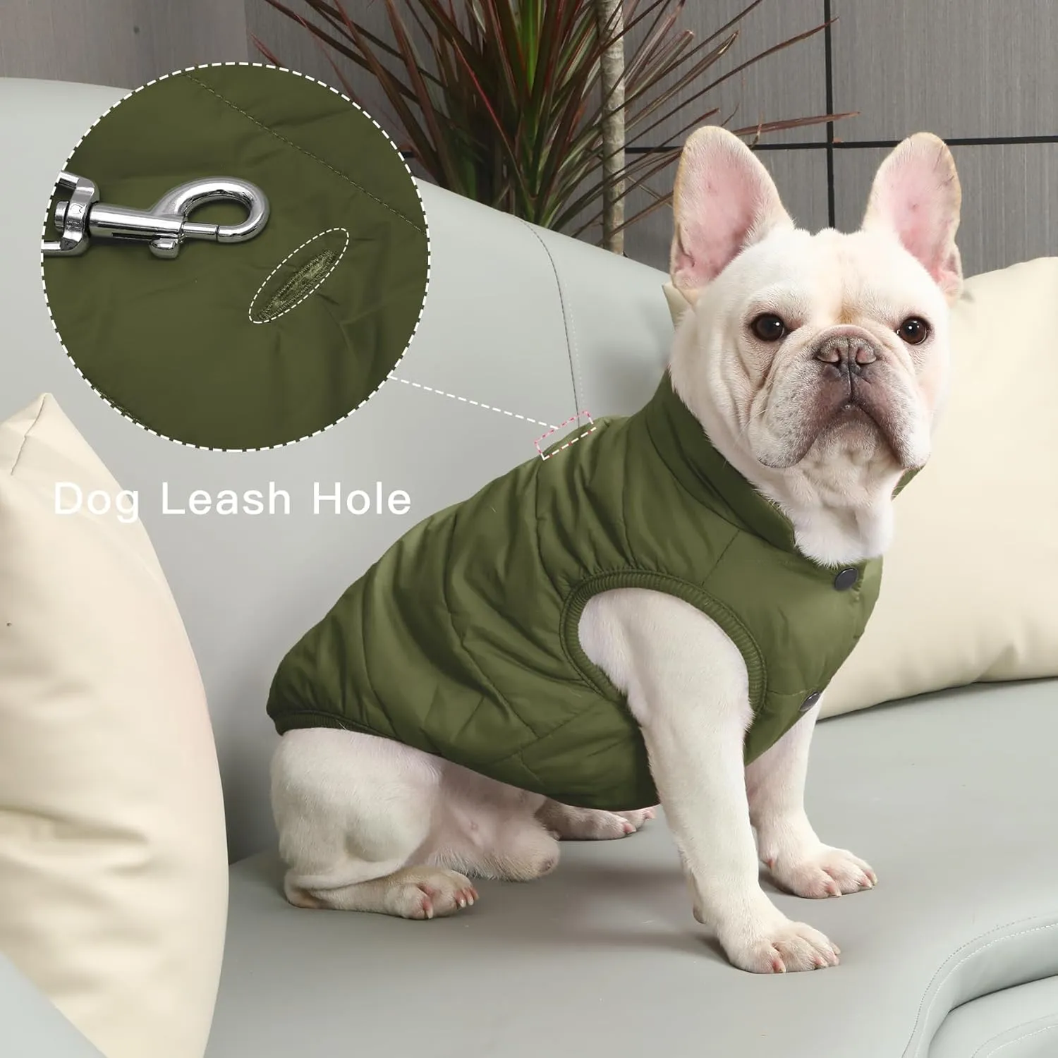 2 Layers Fleece Lined Warm Dog Jacket for Puppy Winter Cold Weather,Soft Windproof Small Dog Coat,Green S