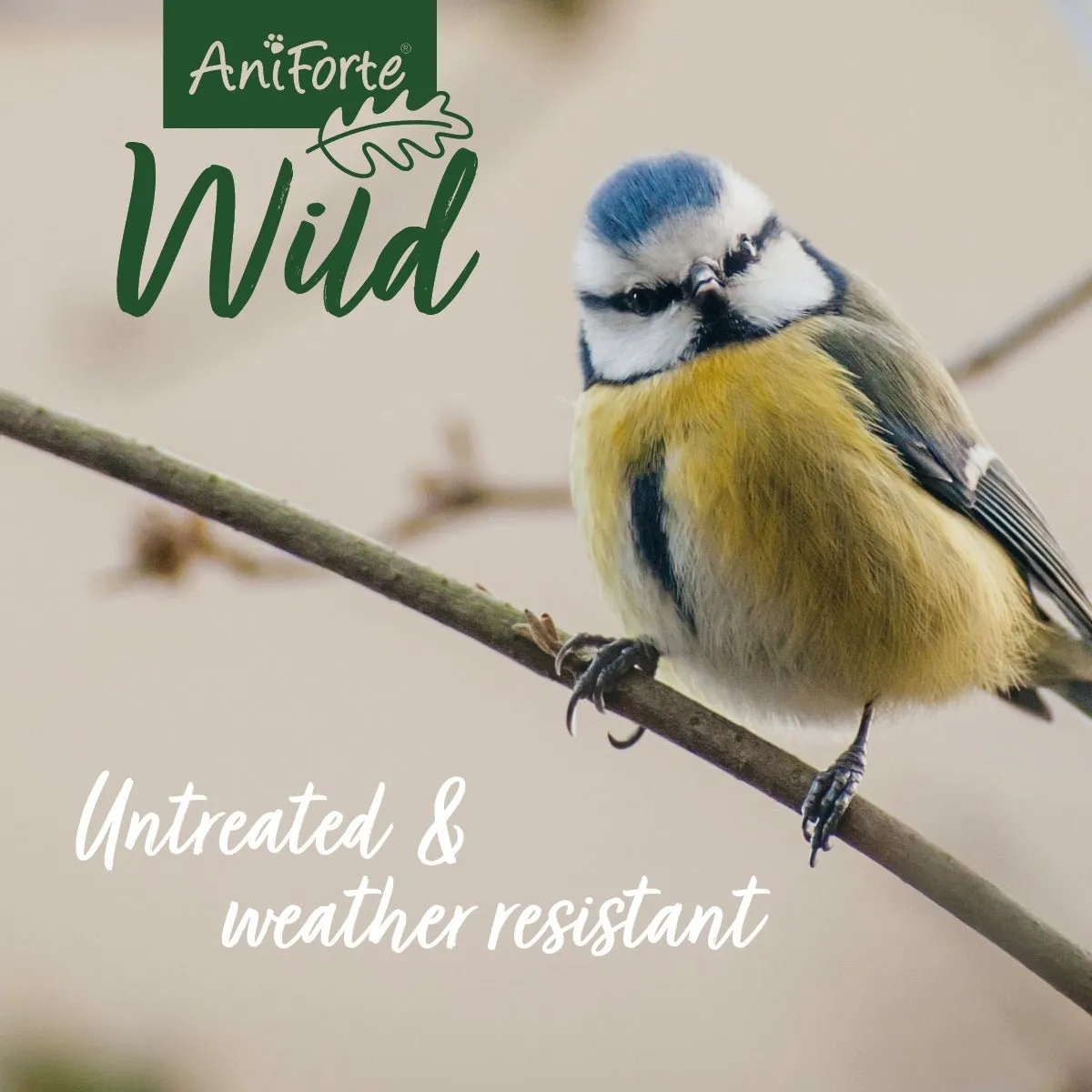 AniForte®Wildlife - Bird Feeding House   200 g Feed