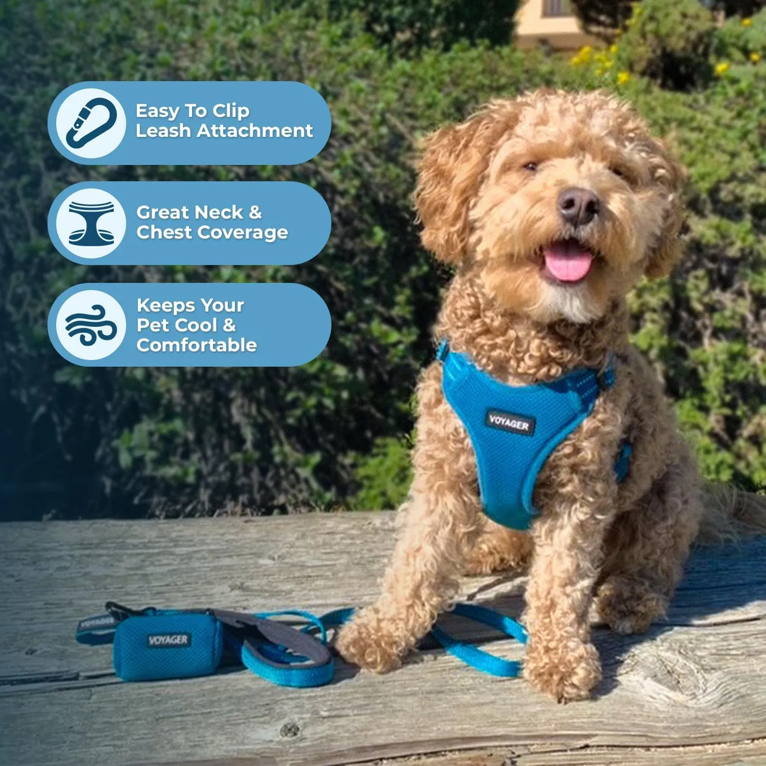 Best Pet Supplies Voyager Adjustable Dog Vest Harness Breathable No Pull Harness for Small, Medium, Large Dogs, Harness for Walking, Jogging, Easy Step-in, Reflective Stripes - Turquoise, M