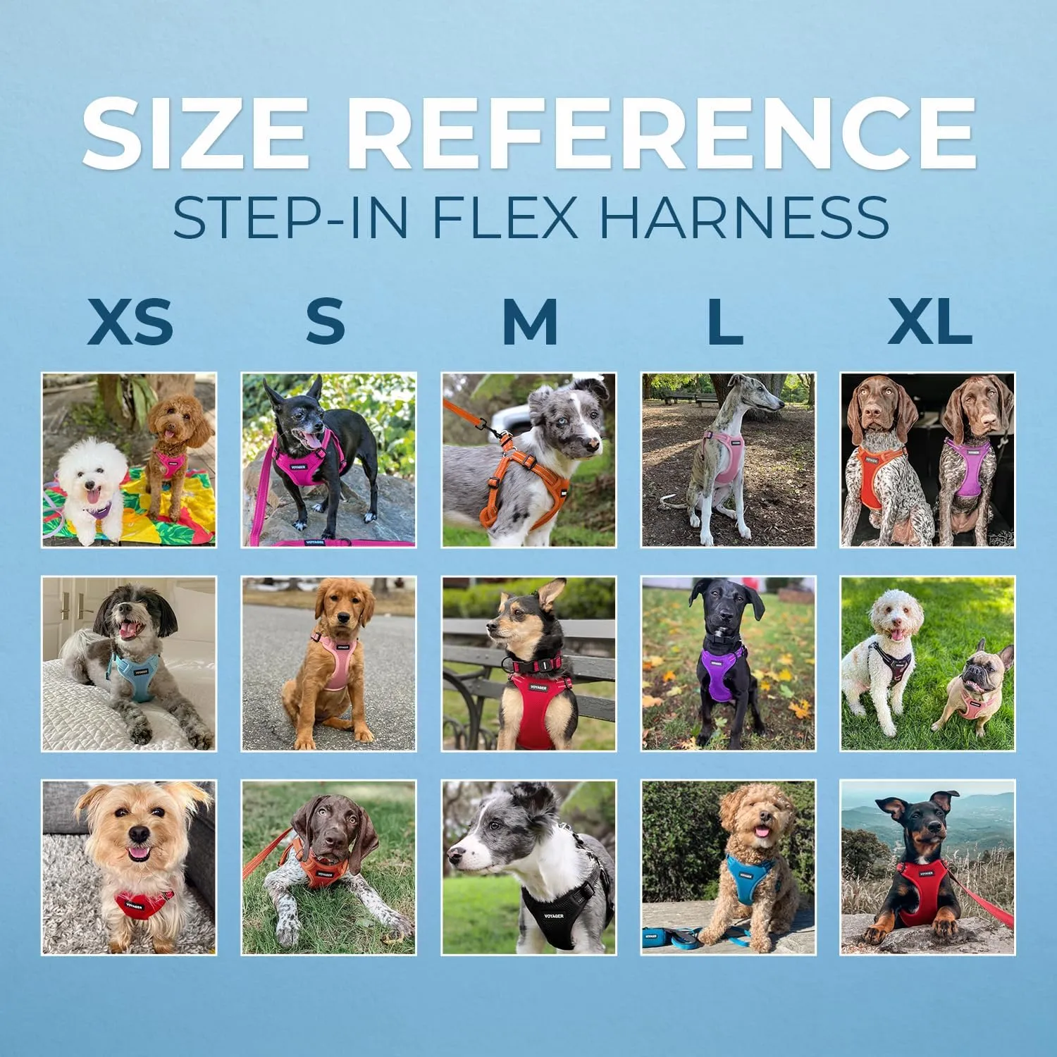 Best Pet Supplies Voyager Adjustable Dog Vest Harness Breathable No Pull Harness for Small, Medium, Large Dogs, Harness for Walking, Jogging, Easy Step-in, Reflective Stripes - Turquoise, M