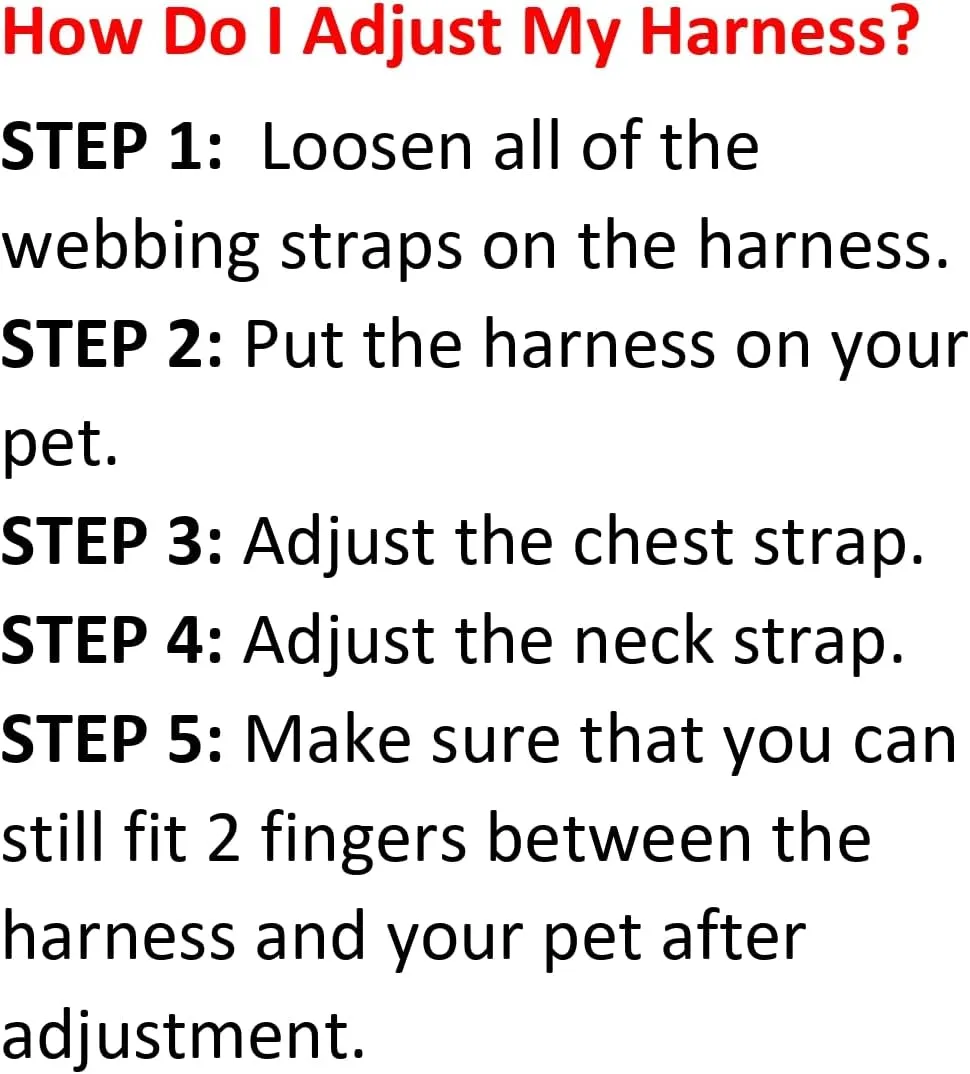 Best Pet Supplies Voyager Adjustable Dog Vest Harness Breathable No Pull Harness for Small, Medium, Large Dogs, Harness for Walking, Jogging, Easy Step-in, Reflective Stripes - Turquoise, M
