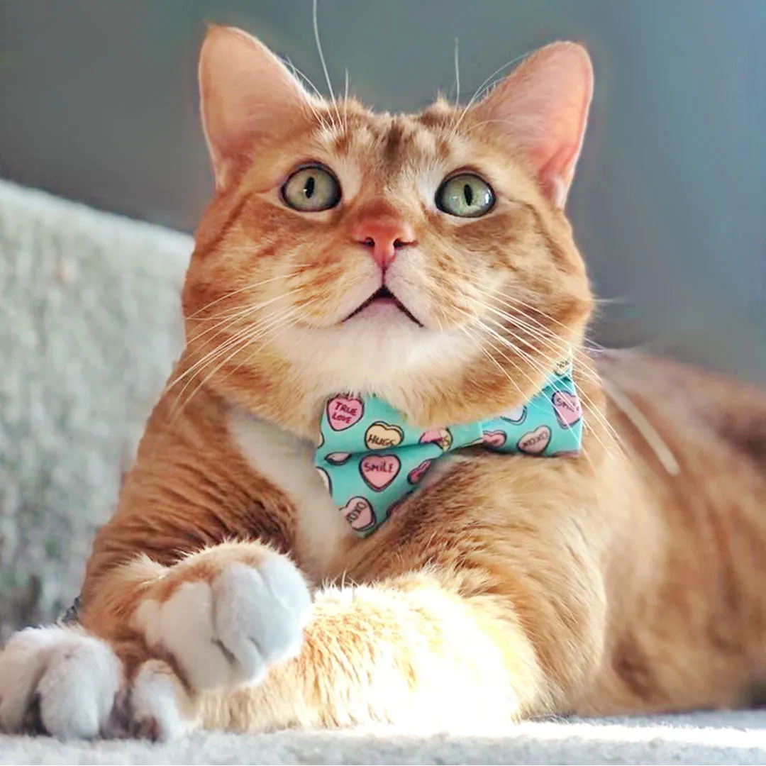 Bow Tie Cat Collar Set - "Conversation Hearts - Mint" - Candy Heart Cat Collar w/ Matching Bowtie / Valentine's Day / Cat, Kitten, Small Dog Sizes
