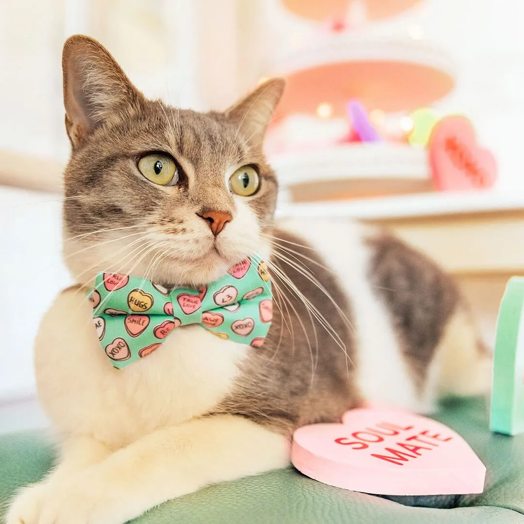 Bow Tie Cat Collar Set - "Conversation Hearts - Mint" - Candy Heart Cat Collar w/ Matching Bowtie / Valentine's Day / Cat, Kitten, Small Dog Sizes