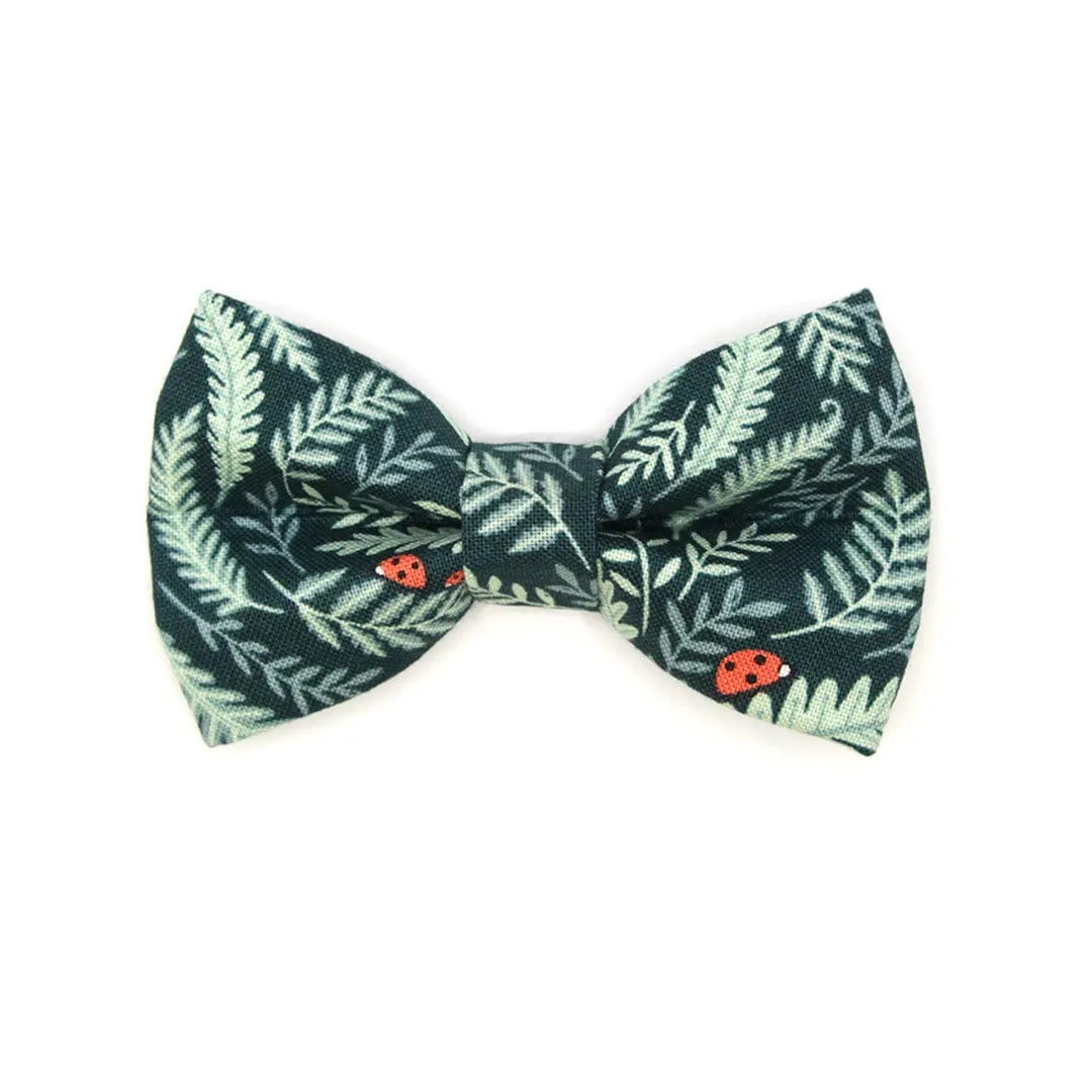 Bow Tie Cat Collar Set - "Eden" - Sage & Dark Woodland Green Cat Collar w/ Matching Bowtie / Cat, Kitten, Small Dog Sizes
