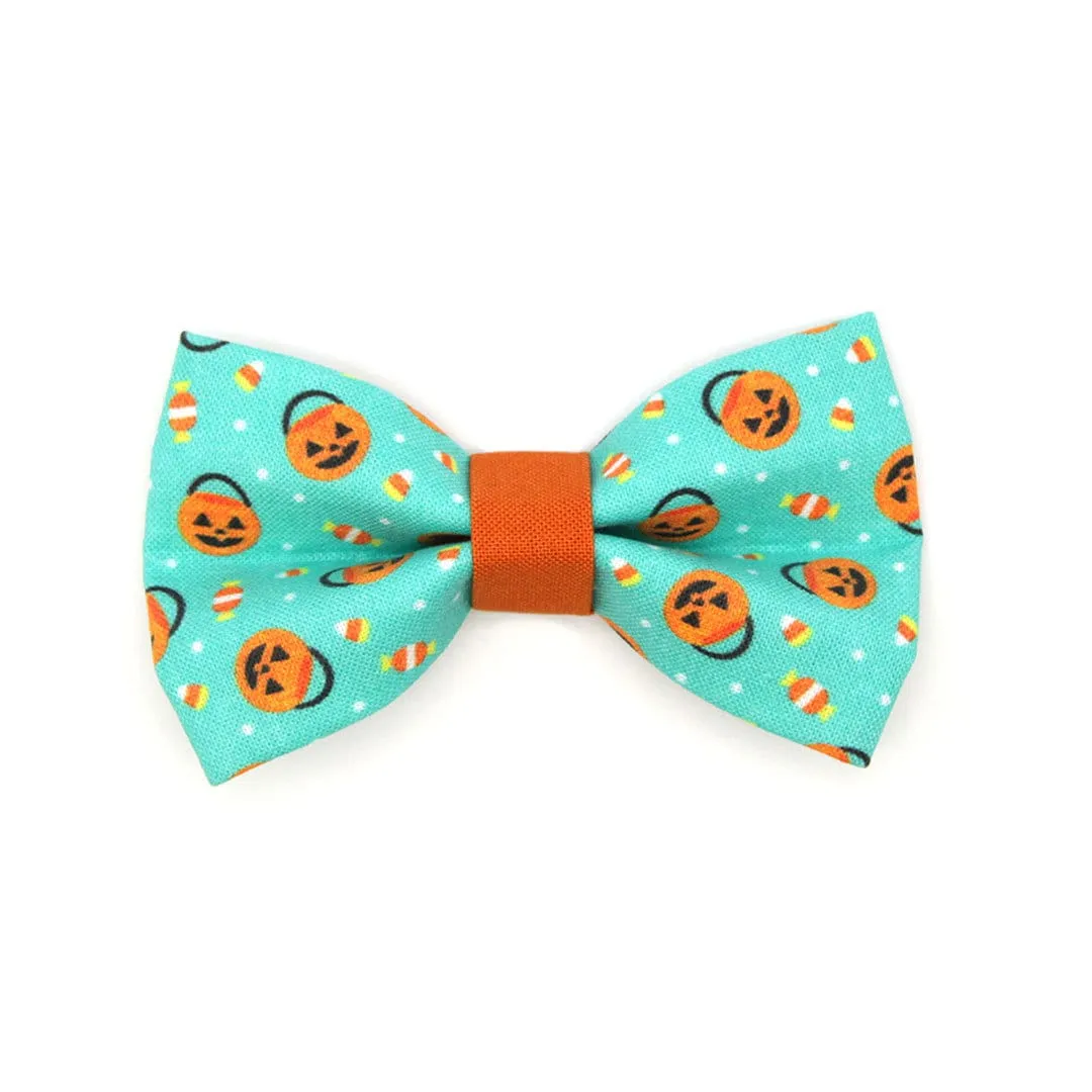 Bow Tie Cat Collar Set - "Party Pumpkins" - Trick-or-Treat Jackolantern Cat Collar w/ Matching Bowtie / Halloween / Cat, Kitten, Small Dog Sizes