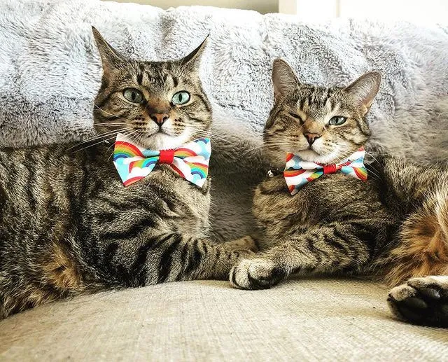 Bow Tie Cat Collar Set - "Retro Rainbow" - Rainbow Pet Collar   Coordinating "Rainbow Magic" Bowtie / Cat, Kitten, Small Dog Sizes