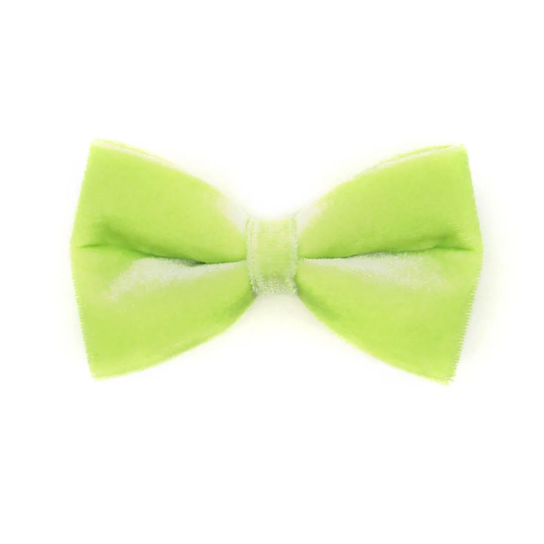 Bow Tie Cat Collar Set - "Velvet - Apple Green" - Light Green Velvet Cat Collar   Coordinating Velvet Bowtie / Cat, Kitten, Small Dog Sizes
