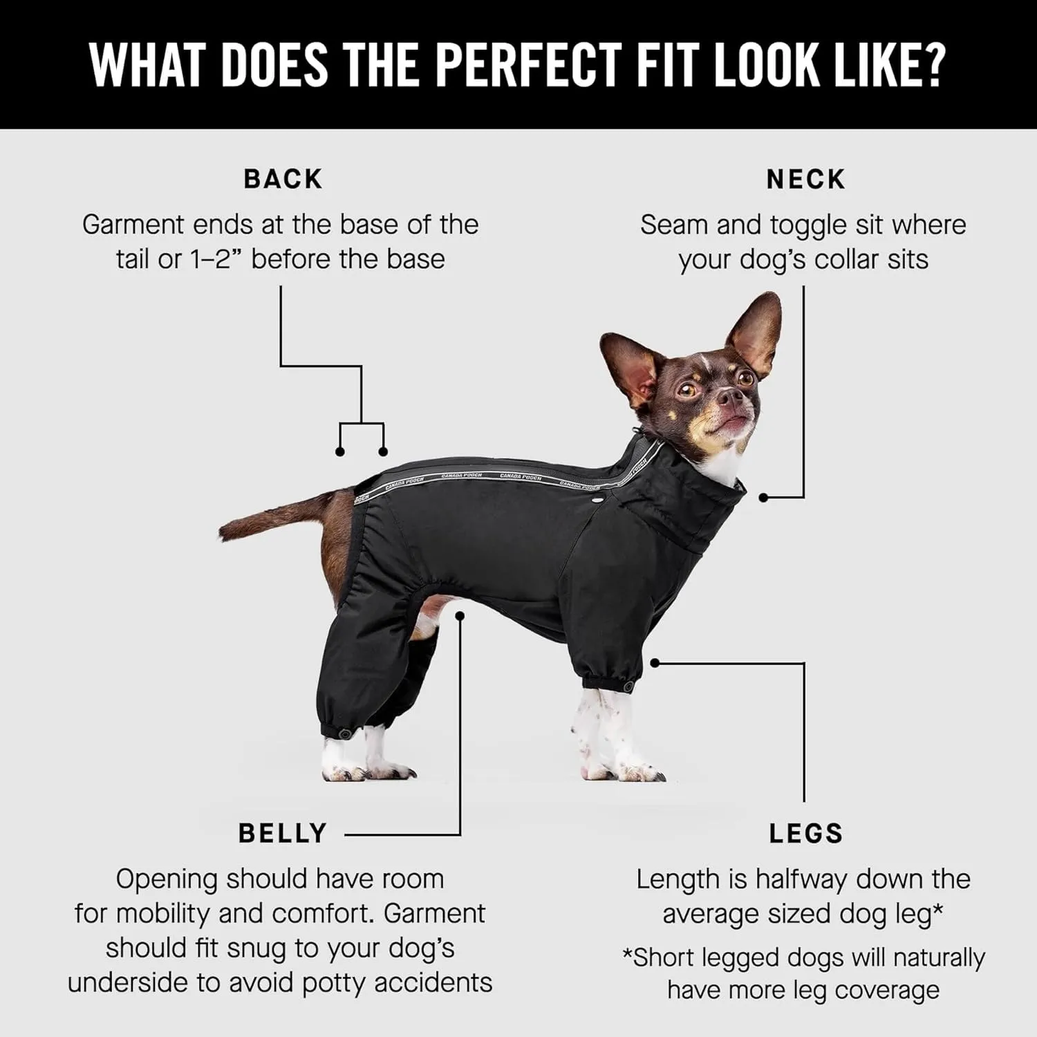 Canada Pooch Snowsuit - Black - Size 28 (27-29" Back Length)