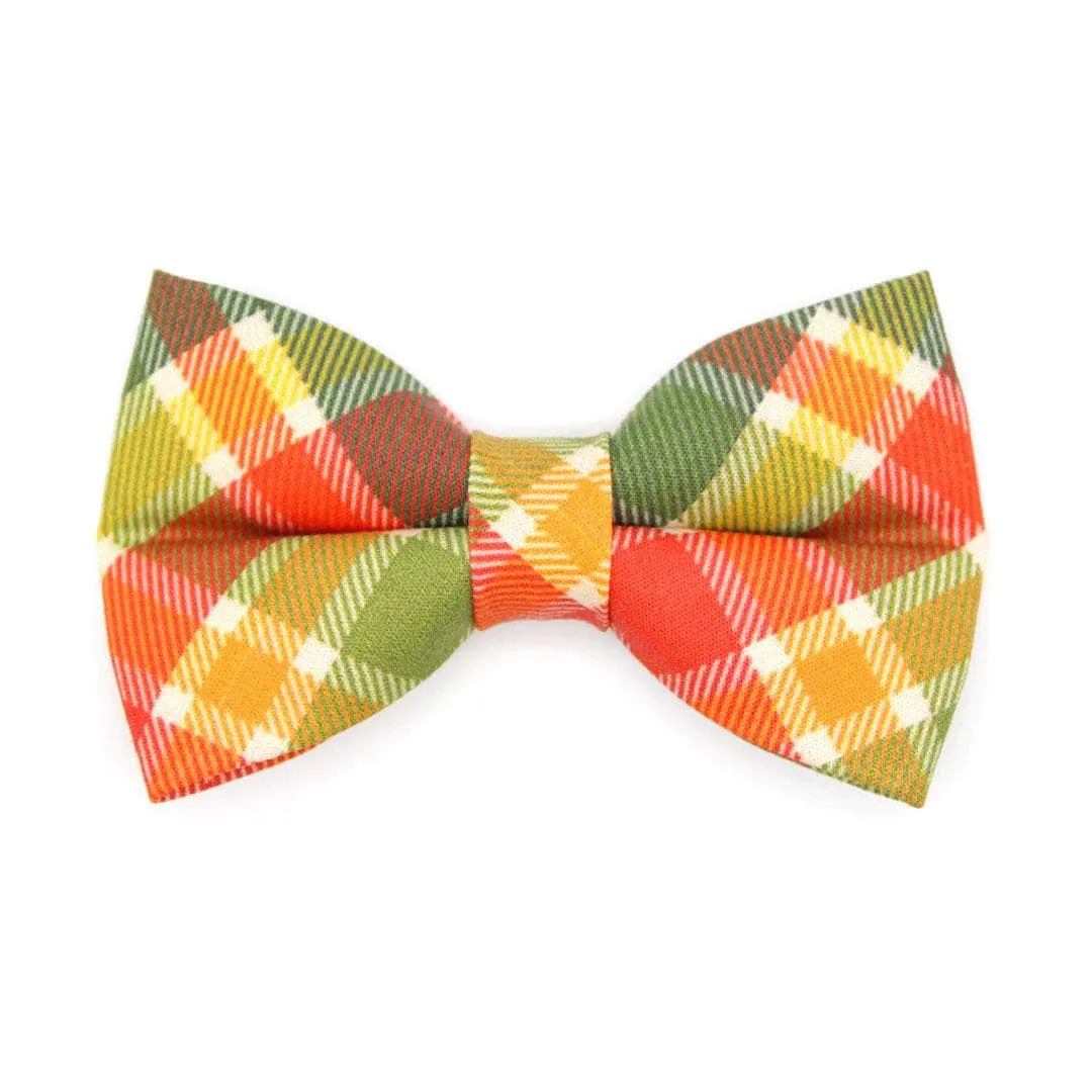 Cat Bow Tie - "Apple Crisp" - Green Plaid Bow Tie for Cat / Fall, Autumn, Thanksgiving / Cat   Small Dog Bowtie