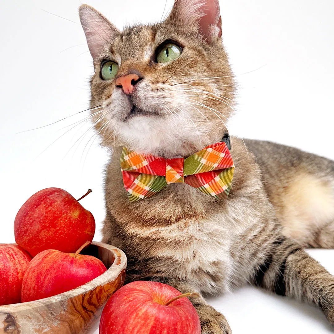 Cat Bow Tie - "Apple Crisp" - Green Plaid Bow Tie for Cat / Fall, Autumn, Thanksgiving / Cat   Small Dog Bowtie