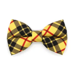 Cat Bow Tie - "Iconic" - Yellow Macleod Tartan Plaid Bow Tie for Cat / Cat   Small Dog Bowtie