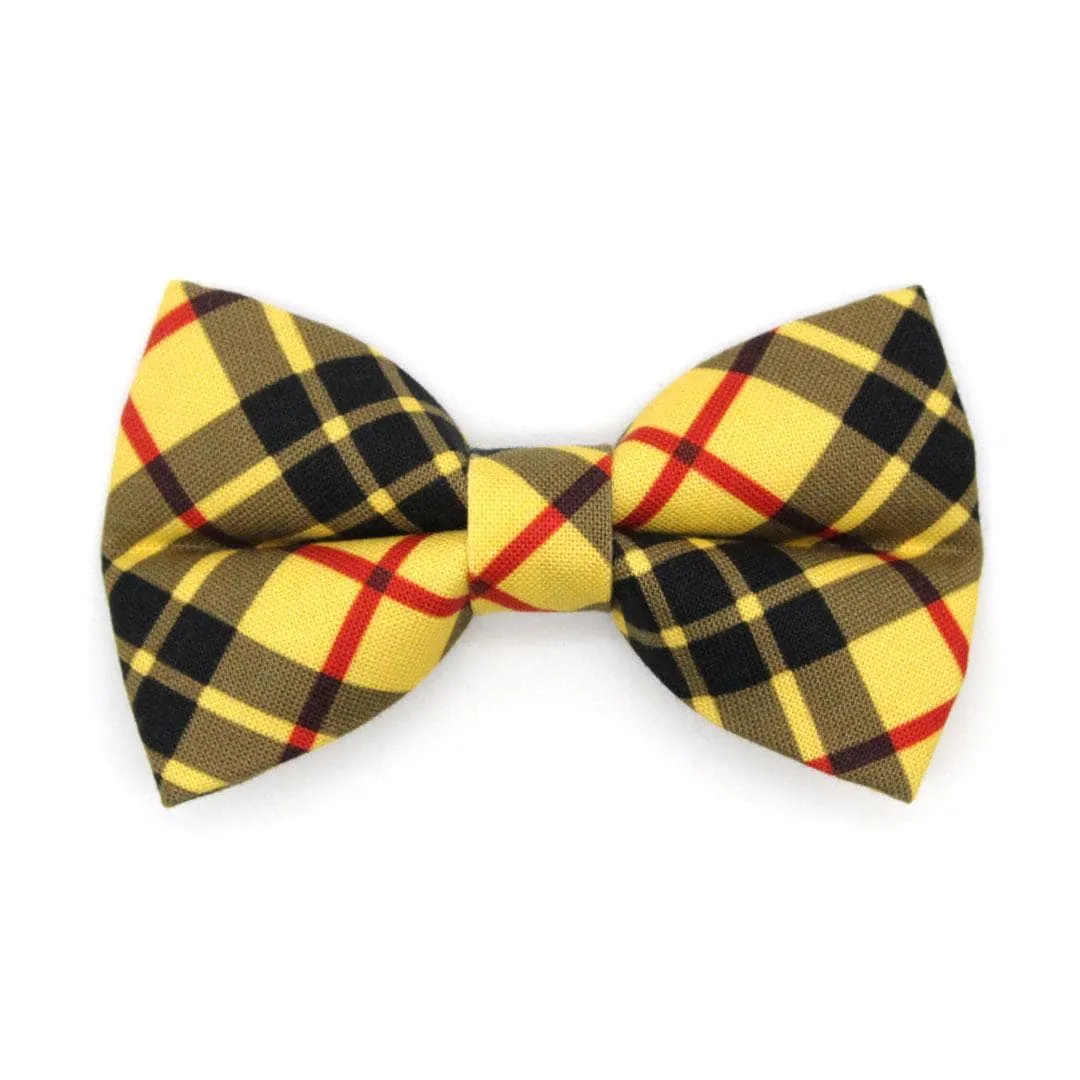 Cat Bow Tie - "Iconic" - Yellow Macleod Tartan Plaid Bow Tie for Cat / Cat   Small Dog Bowtie