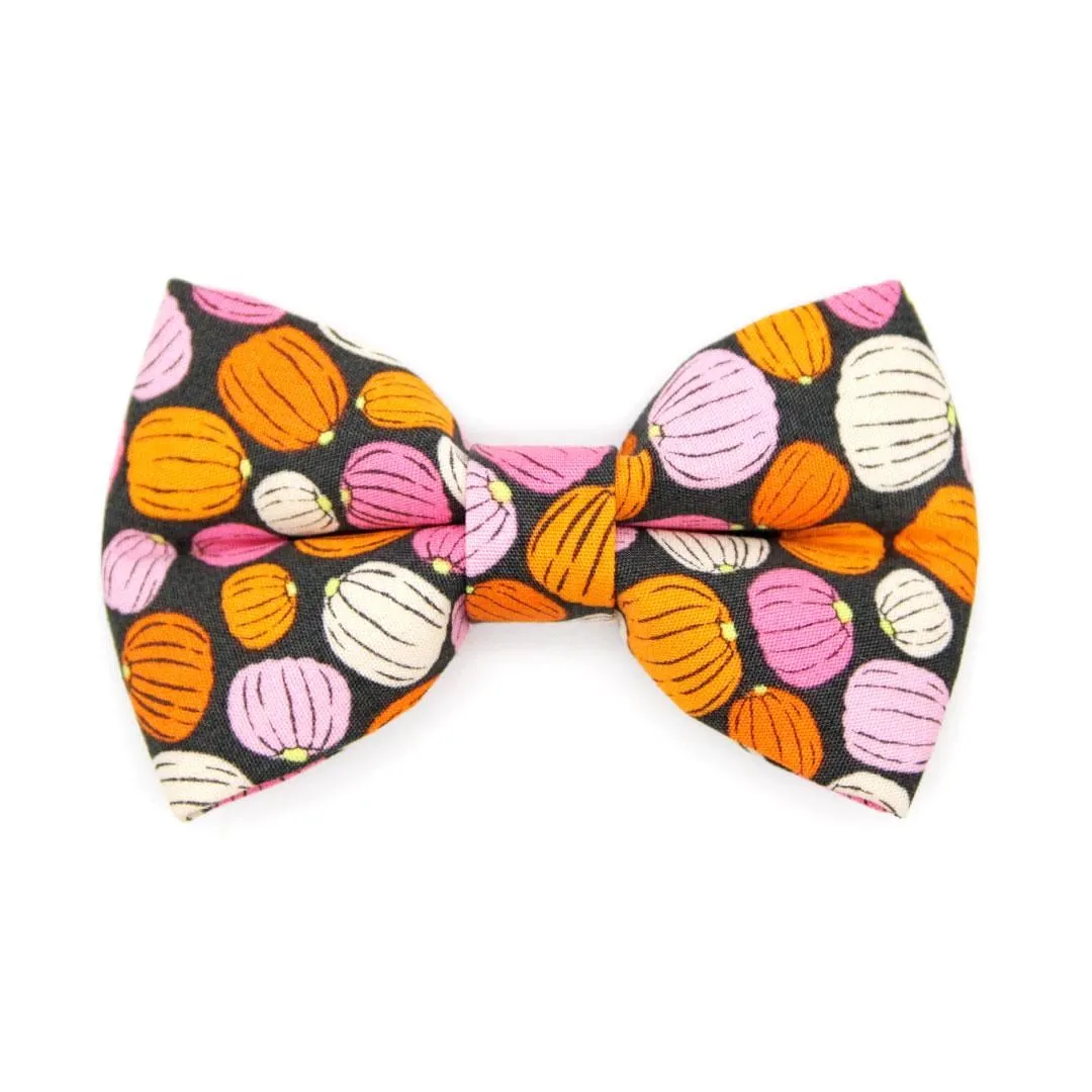 Cat Bow Tie - "Pumpkin Toss" - Orange Pink Pumpkin Bow Tie for Cat / Fall   Halloween / Cat   Small Dog Bowtie