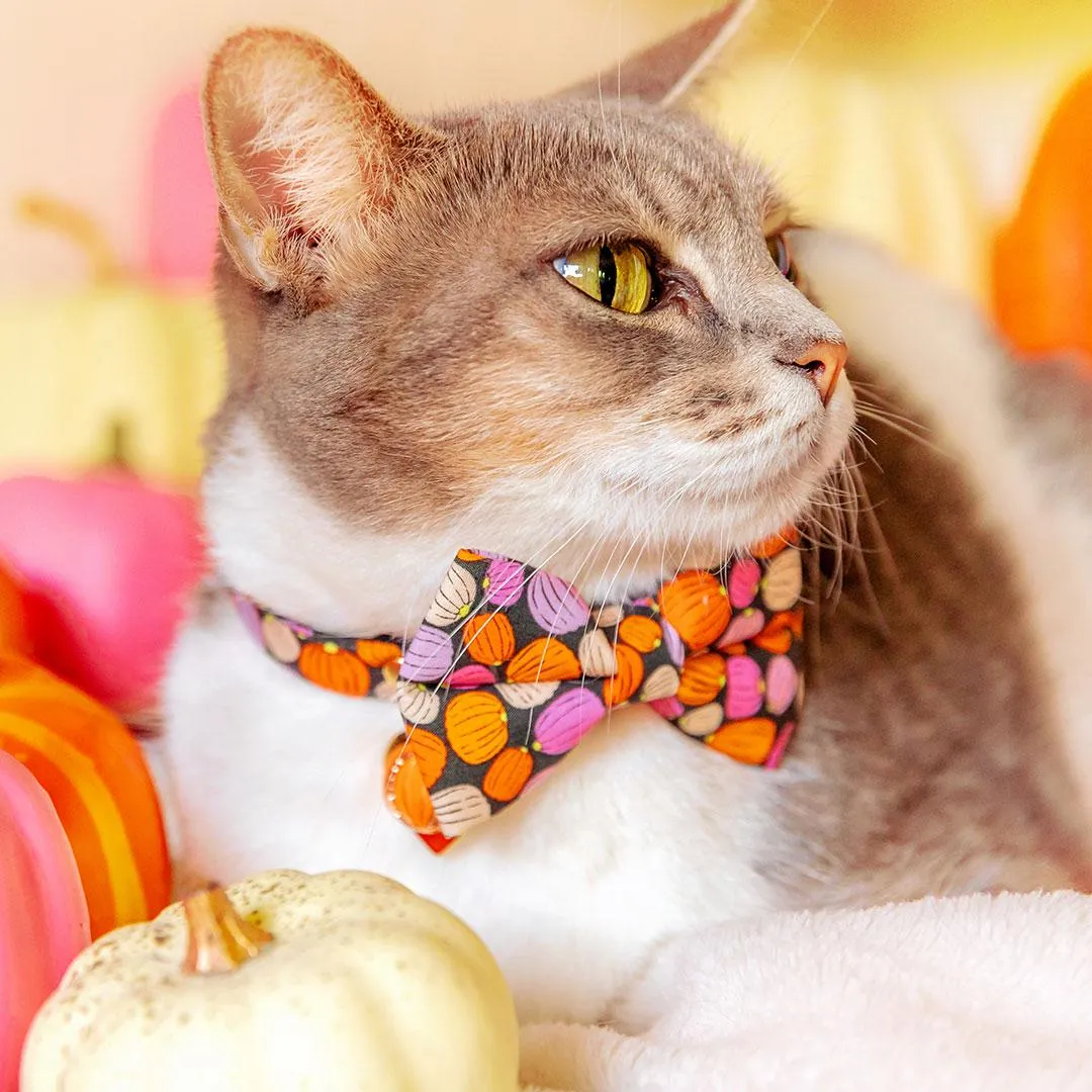 Cat Bow Tie - "Pumpkin Toss" - Orange Pink Pumpkin Bow Tie for Cat / Fall   Halloween / Cat   Small Dog Bowtie
