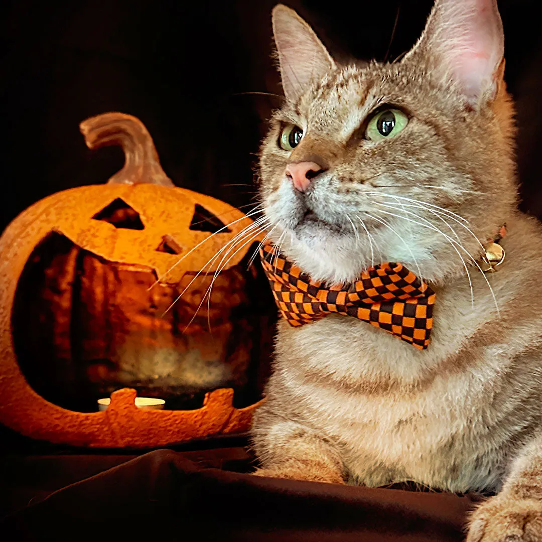 Cat Bow Tie - "Punk Rock Halloween" - Black Orange Checkered Bow Tie for Cat / Edgy, Check, Skater, Emo, Checkerboard / Cat   Small Dog Bowtie