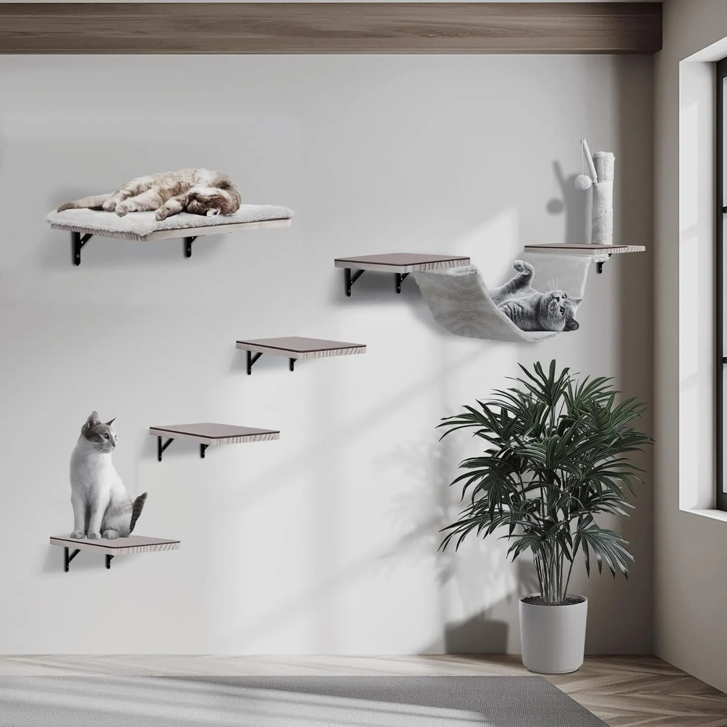 Cat Wall Shelves, Solid Wood Cat Wall Furniture Set, with Cats Bed, Hammock, Felt Ladder, Sisal Scratching Post & Ball (Grey)