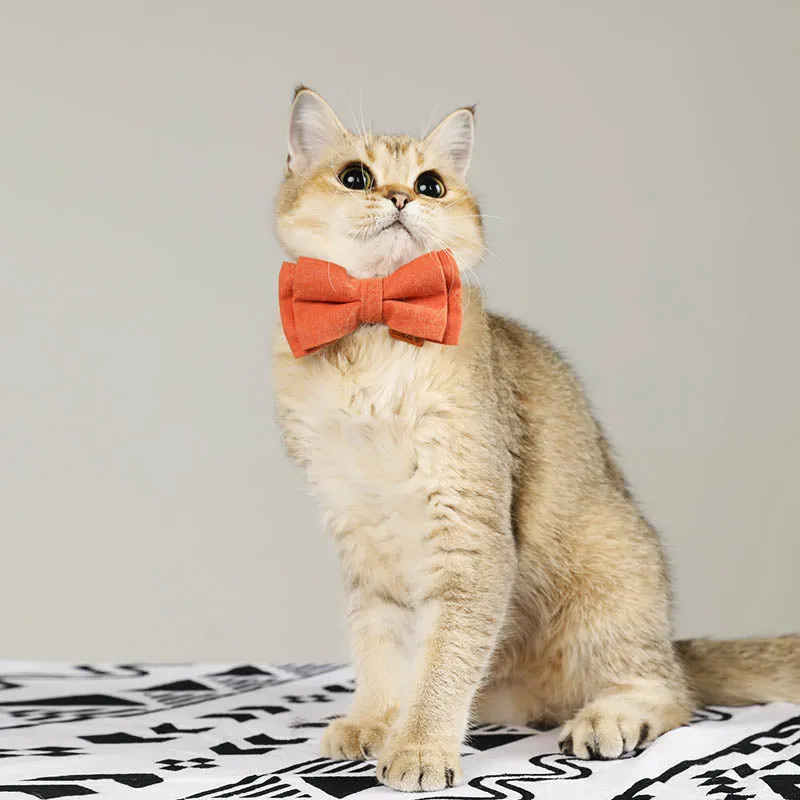 Cute Floral Cat Collar with Solid Color Bow Tie