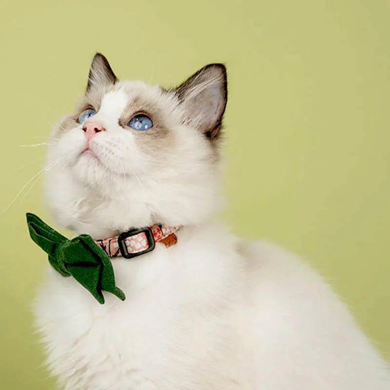 Cute Floral Cat Collar with Solid Color Bow Tie