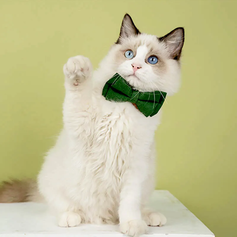 Cute Floral Cat Collar with Solid Color Bow Tie