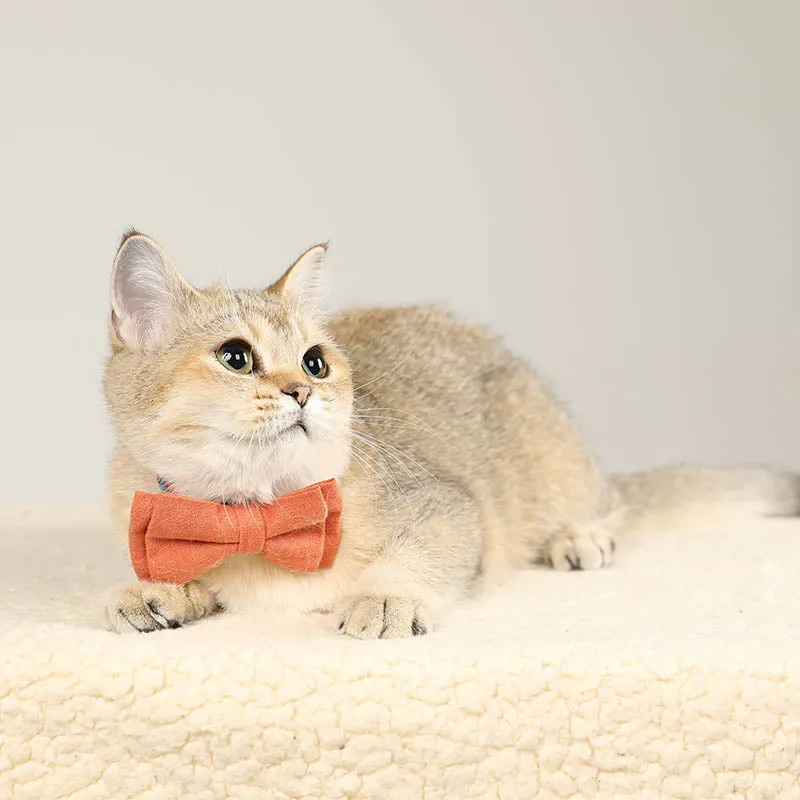 Cute Floral Cat Collar with Solid Color Bow Tie