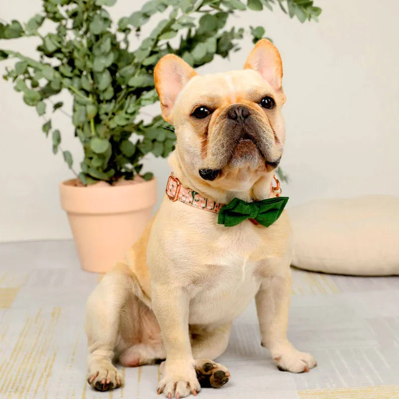 Cute Floral Dog Collar with Solid Color Bow Tie