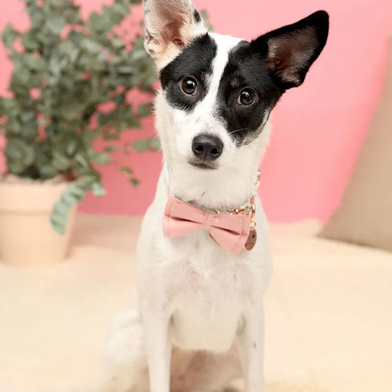 Cute Floral Dog Collar with Solid Color Bow Tie
