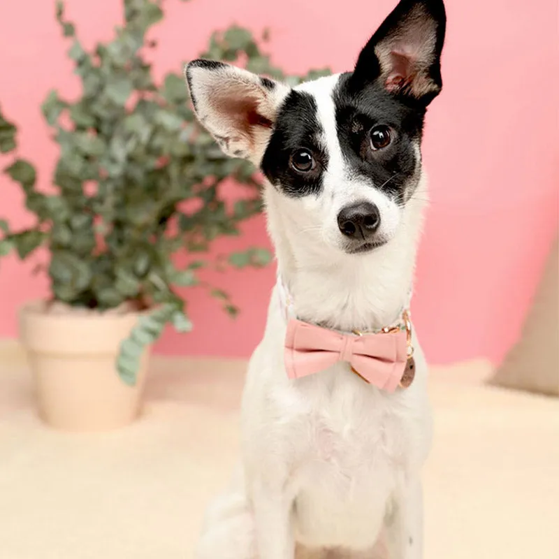 Cute Floral Dog Collar with Solid Color Bow Tie
