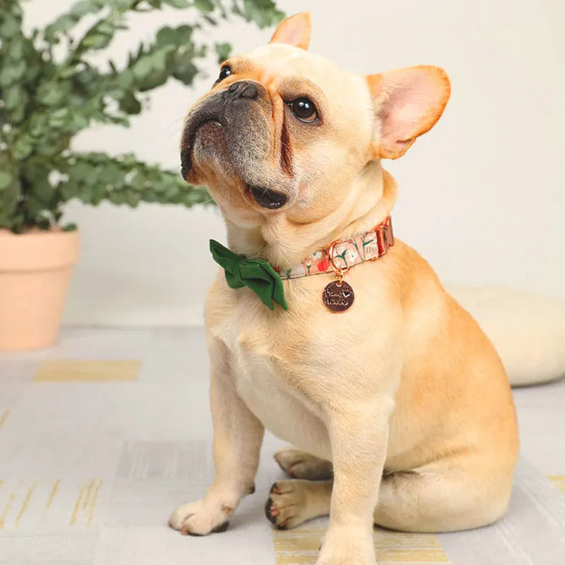 Cute Floral Dog Collar with Solid Color Bow Tie