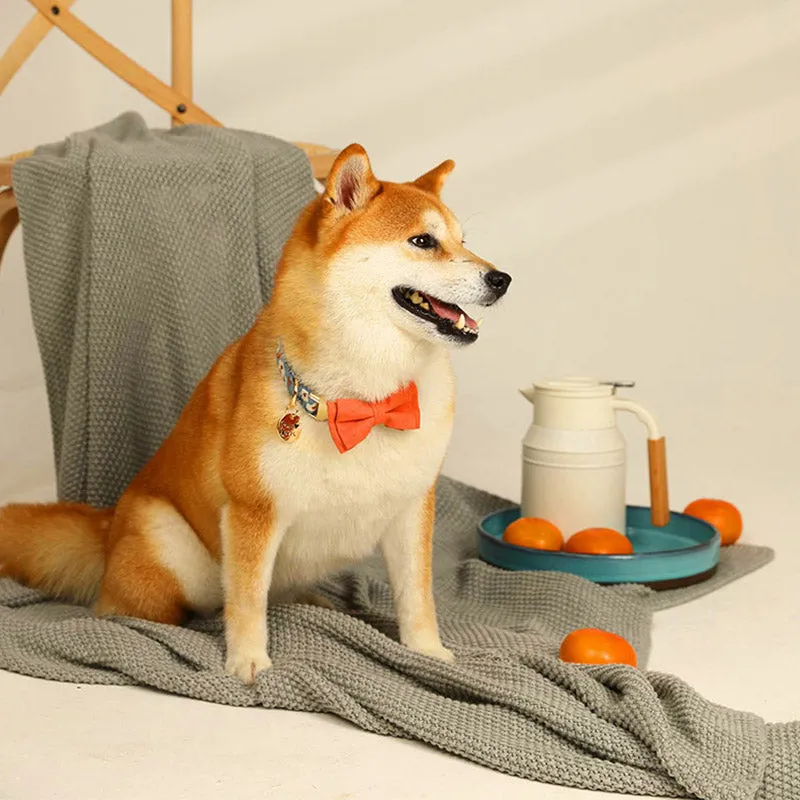 Cute Floral Dog Collar with Solid Color Bow Tie