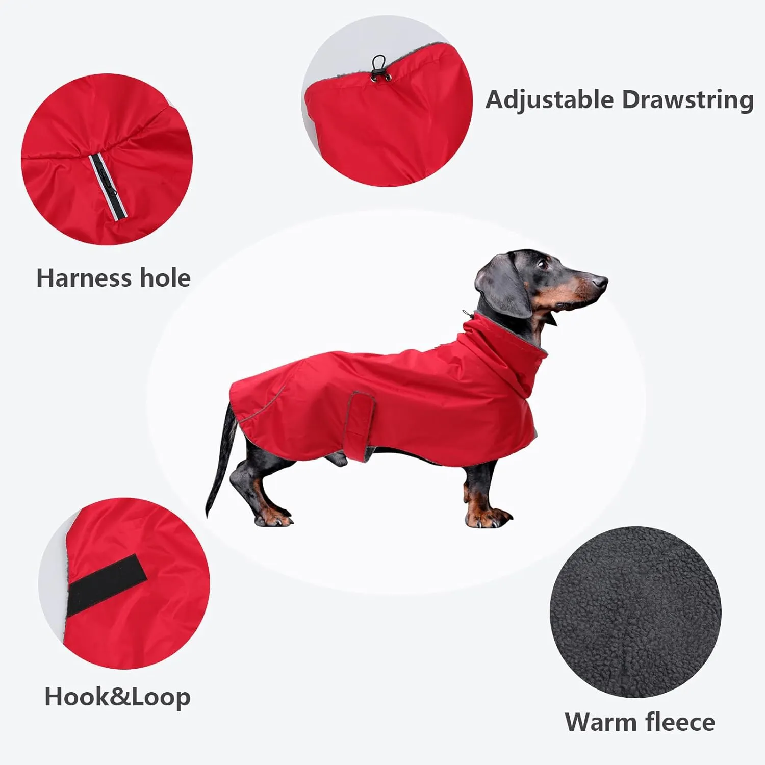 Dachshund Coats Waterproof, Perfect for Dachshunds, Sausage, Weiner Dog Winter Coat with Padded Fleece, Puppy Snowsuit with Adjustable Bands and High Vis Reflective Trim - Red - M