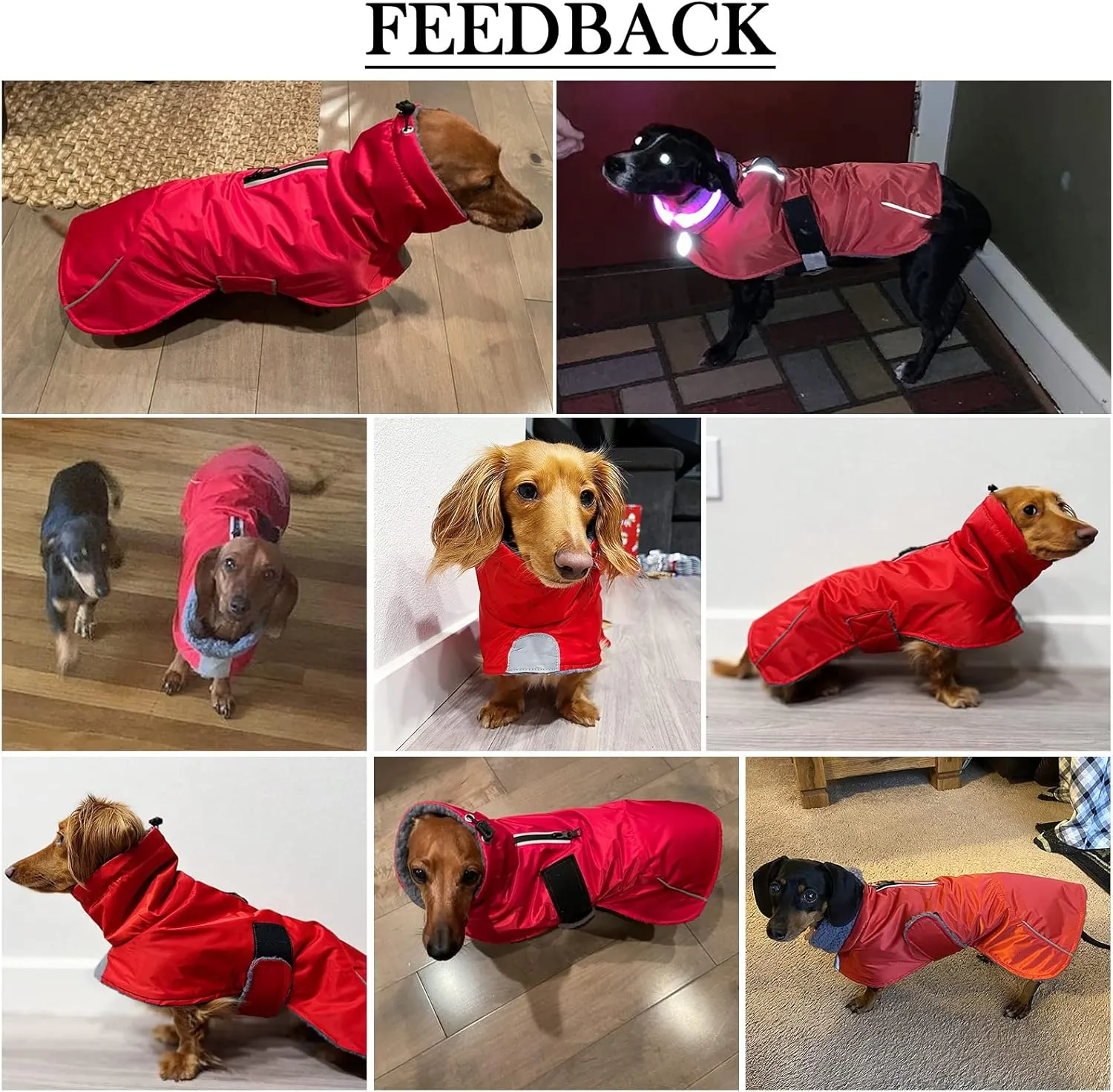Dachshund Coats Waterproof, Perfect for Dachshunds, Sausage, Weiner Dog Winter Coat with Padded Fleece, Puppy Snowsuit with Adjustable Bands and High Vis Reflective Trim - Red - M
