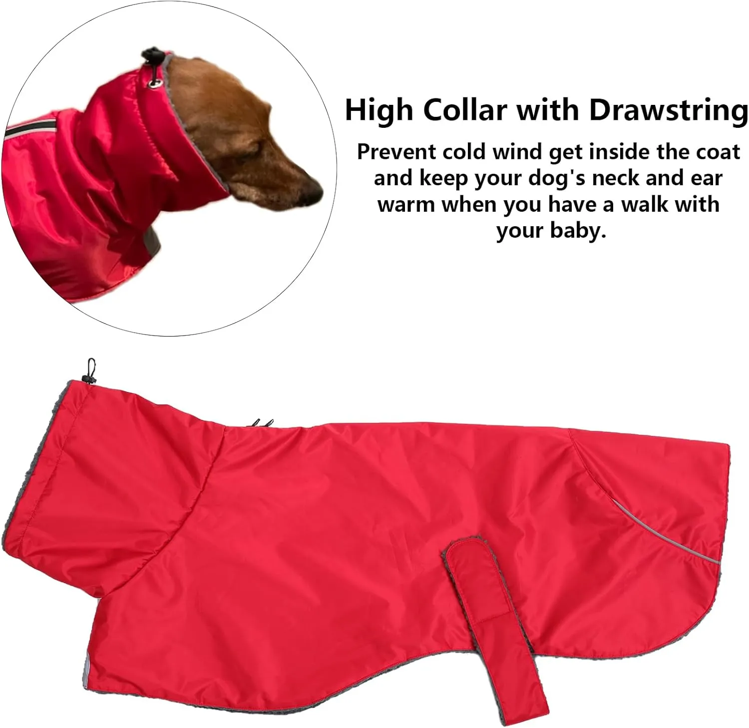 Dachshund Coats Waterproof, Perfect for Dachshunds, Sausage, Weiner Dog Winter Coat with Padded Fleece, Puppy Snowsuit with Adjustable Bands and High Vis Reflective Trim - Red - M