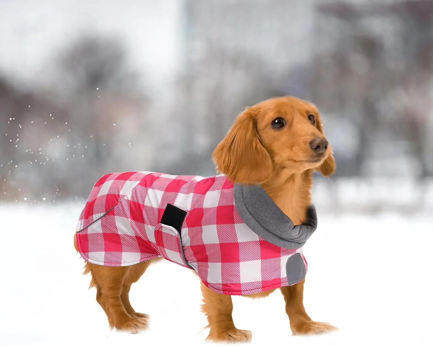 Dachshund Coats Waterproof Suitable for Dachshunds Sausage Weiner Dog Winter Coat Padded Fleece Puppy Snowsuit with Adjustable Bands Reflective Stripe - Plaid Pink - M