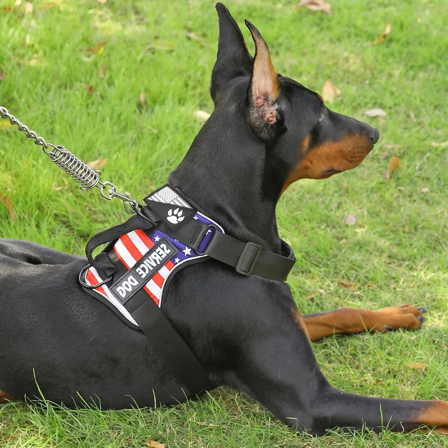 Demigreat Service Dog Harness, Reflective Dog Vest Harness with 5 PCS Patches, Adjustable Soft Oxford Pet Harness, Inner Layer Mesh, Easy to Control for Dogs (USFLAG, Large (Pack of 1))