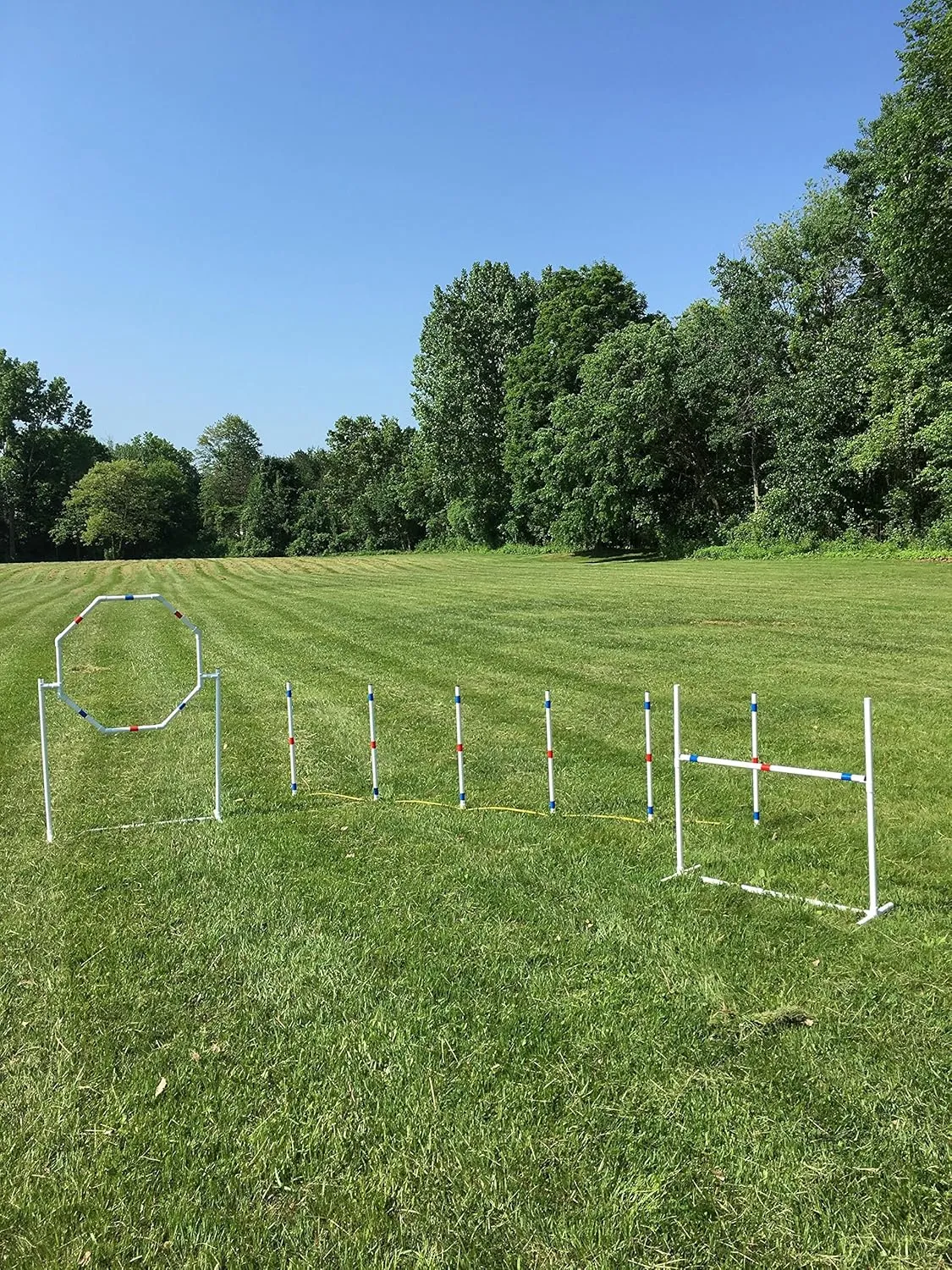 Dog Agility Training Equipment Course Set, Weave Poles, Dog Agility Jump with Dog Agility Jump Cups and Tire Jump