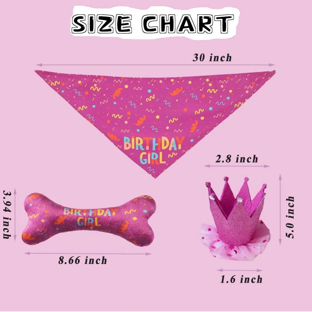 Dog Birthday Bandana - Large Dog Party Hat - Happy Birthday Bone Toy Set - Pink