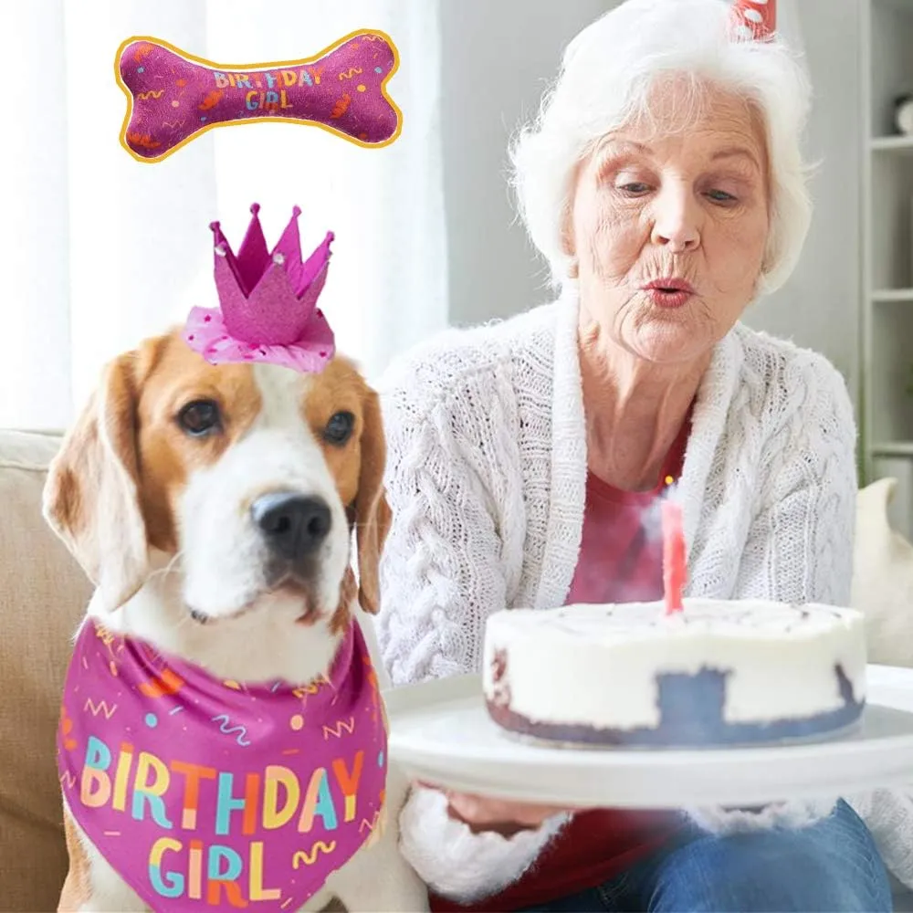 Dog Birthday Bandana - Large Dog Party Hat - Happy Birthday Bone Toy Set - Pink