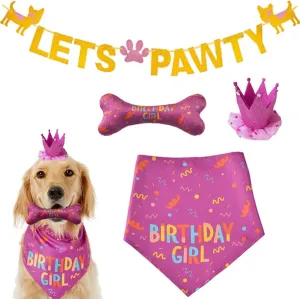 Dog Birthday Bandana - Large Dog Party Hat - Happy Birthday Bone Toy Set - Pink