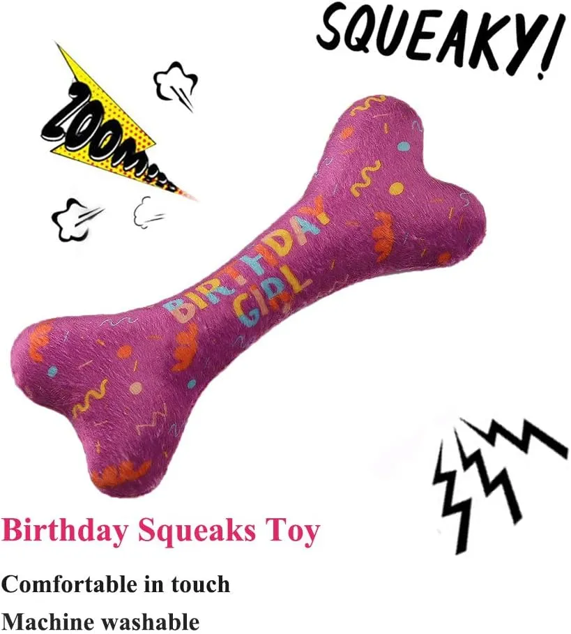 Dog Birthday Bandana - Large Dog Party Hat - Happy Birthday Bone Toy Set - Pink