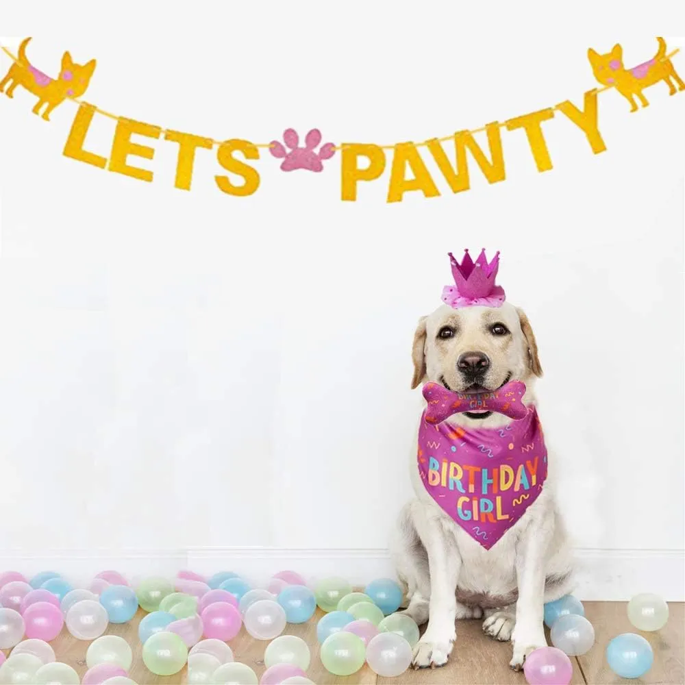 Dog Birthday Bandana - Large Dog Party Hat - Happy Birthday Bone Toy Set - Pink