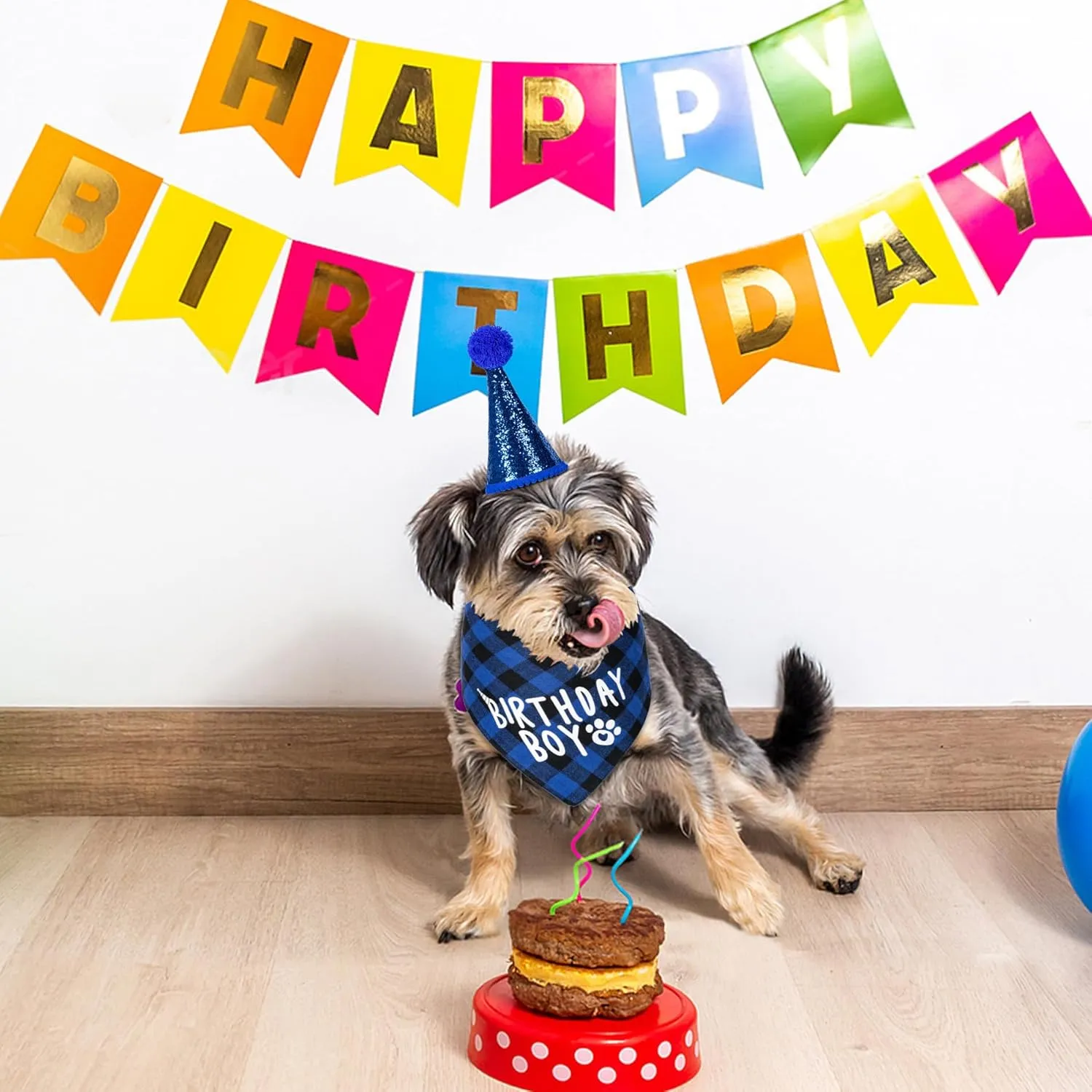 Dog Birthday Party Supplies, Dog Birthday Decorations with Bandanas/Hat/Bow Tie/Collar with 0-8 Numbers, for Large X-Large Cat Dogs Pets (X-Large, Blue)