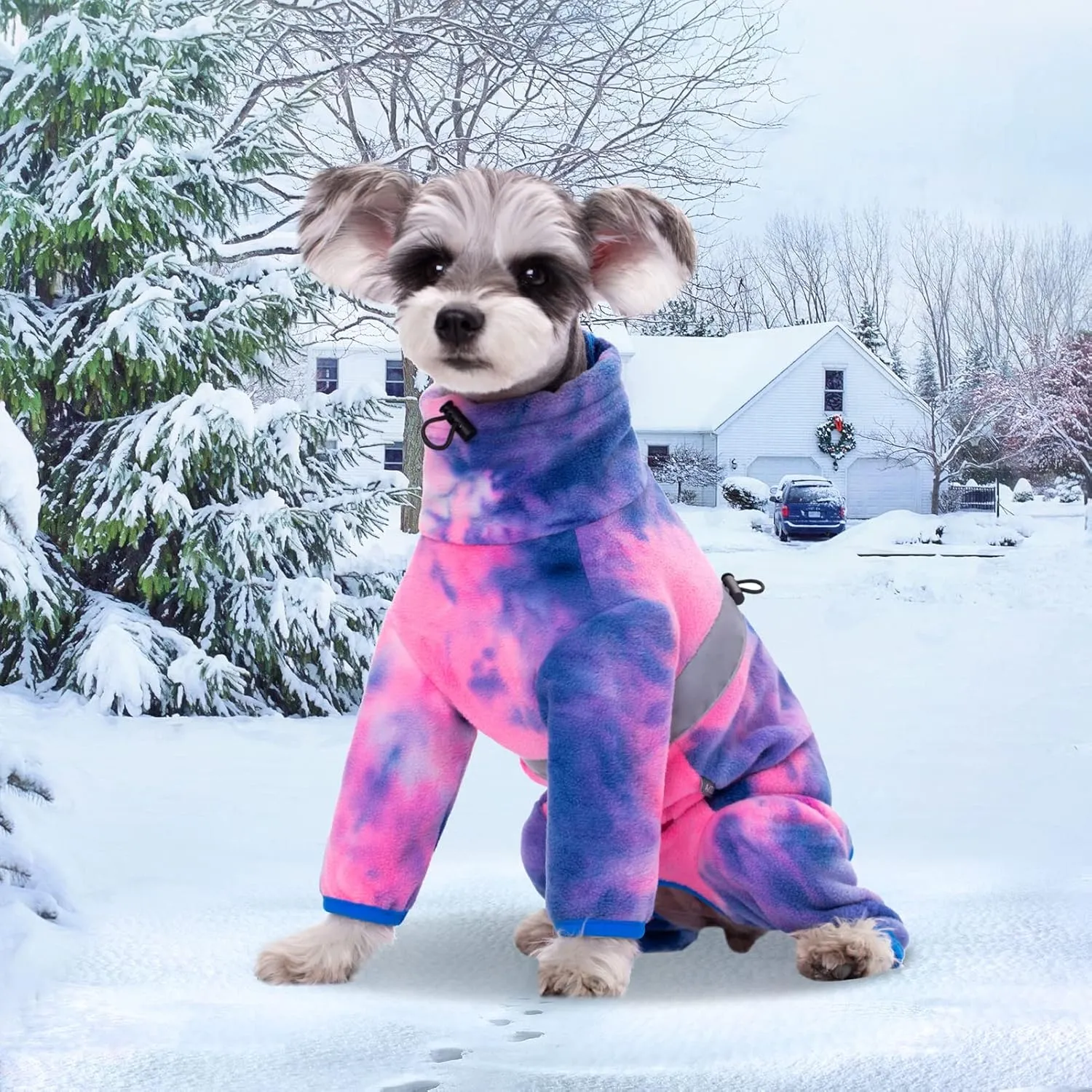 Dog Coat, Tie Dye Fleece Jumpsuit for Small Dogs, Winter Jacket, Reflective Stripes, Comfortable, Lightweight
