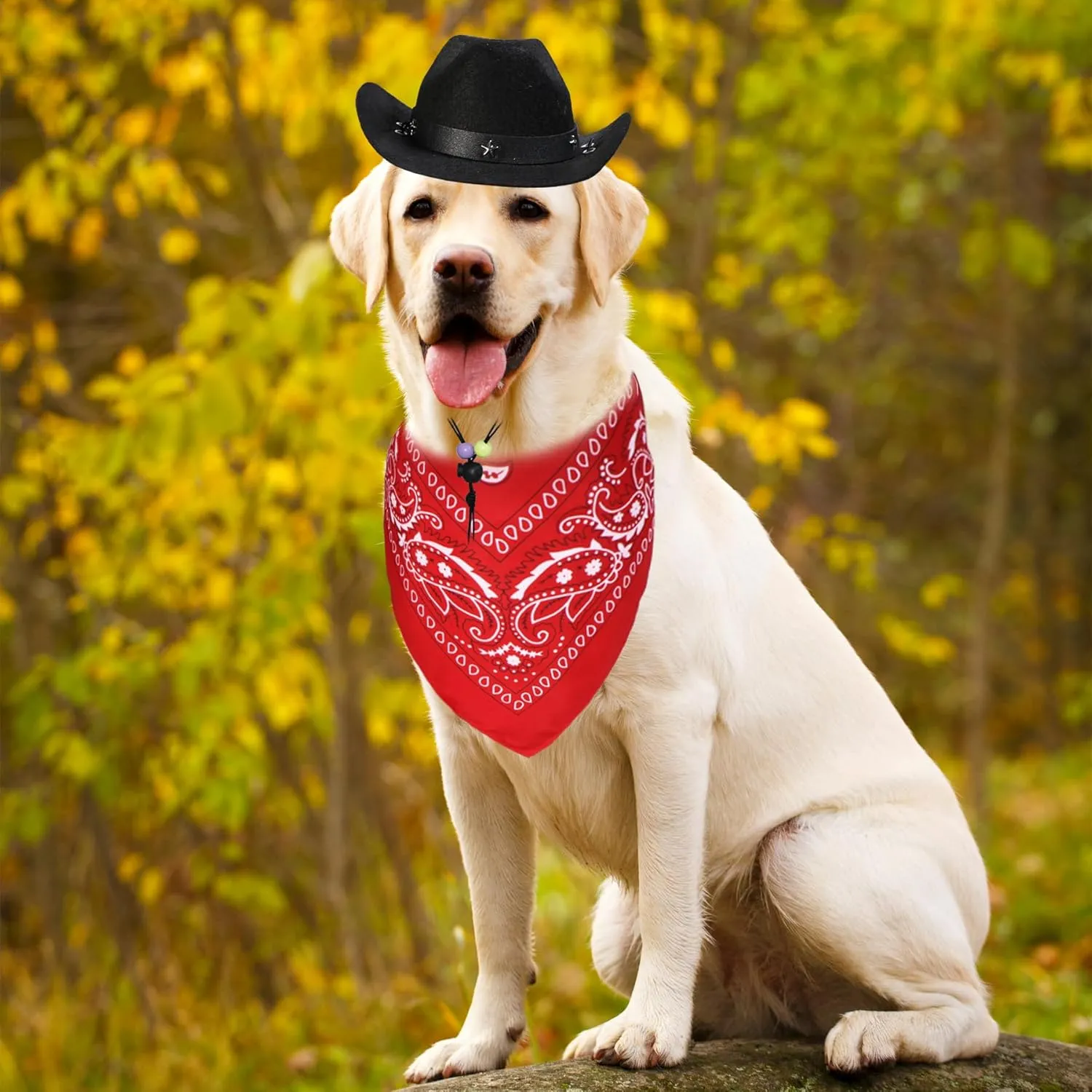 Dog Halloween Costumes, Dog Cowboy Costume Halloween Pet Cowboy Hat Bandana Scarf for Small Medium Large Dogs Pets (Black Hat & Red Bandana, Large)