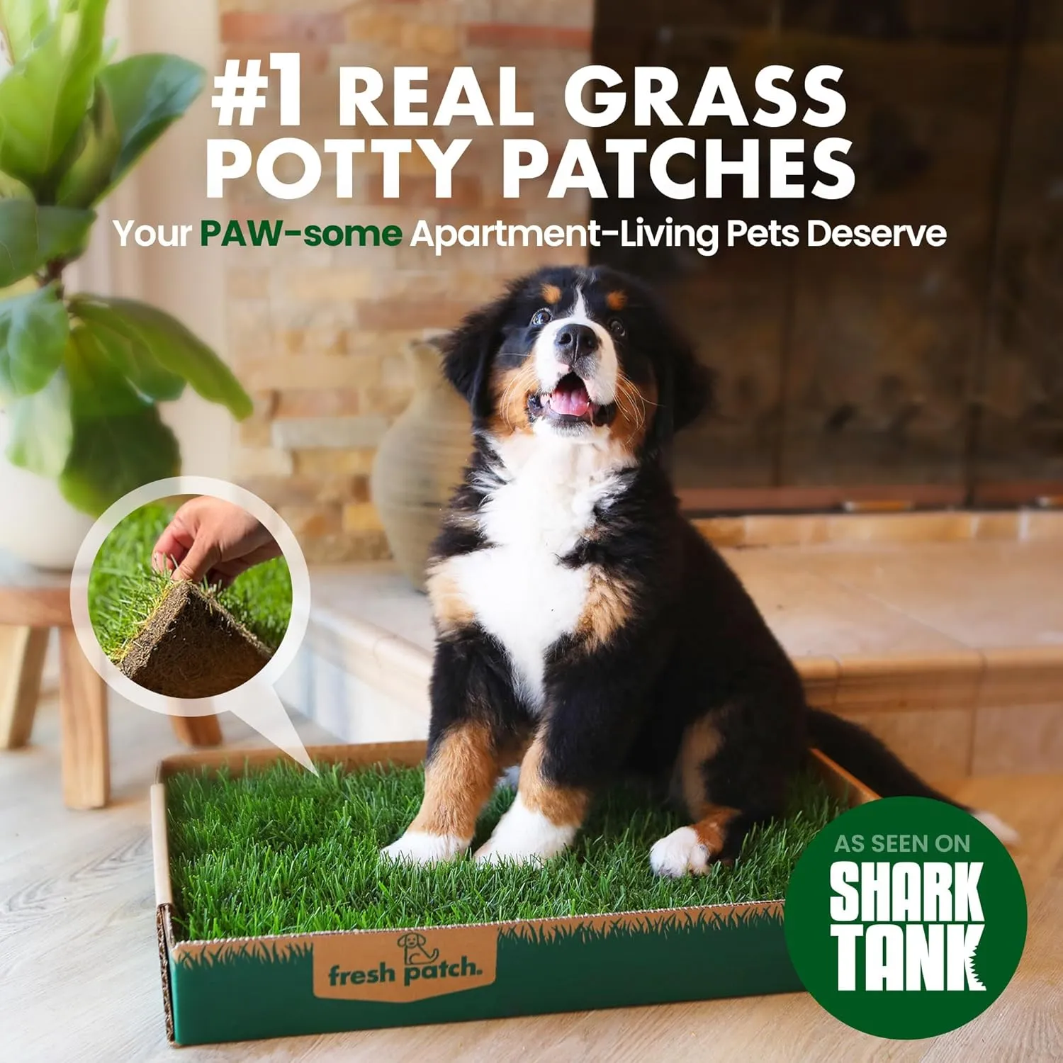 Fresh Patch Real Grass Patch for Dogs, Cats, and Small-Medium Pets Under 15 Pounds  Disposable Pet Grass Pee Pads  Indoor and Outdoor Potty Training Mat (16 Inches x 24 Inches)