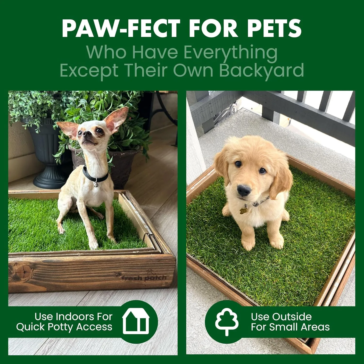 Fresh Patch Real Grass Patch for Dogs, Cats, and Small-Medium Pets Under 15 Pounds  Disposable Pet Grass Pee Pads  Indoor and Outdoor Potty Training Mat (16 Inches x 24 Inches)