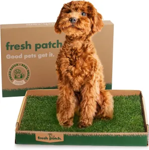 Fresh Patch Real Grass Patch for Dogs, Cats, and Small-Medium Pets Under 15 Pounds  Disposable Pet Grass Pee Pads  Indoor and Outdoor Potty Training Mat (16 Inches x 24 Inches)