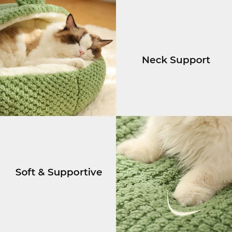 Green Frog Pet Bed