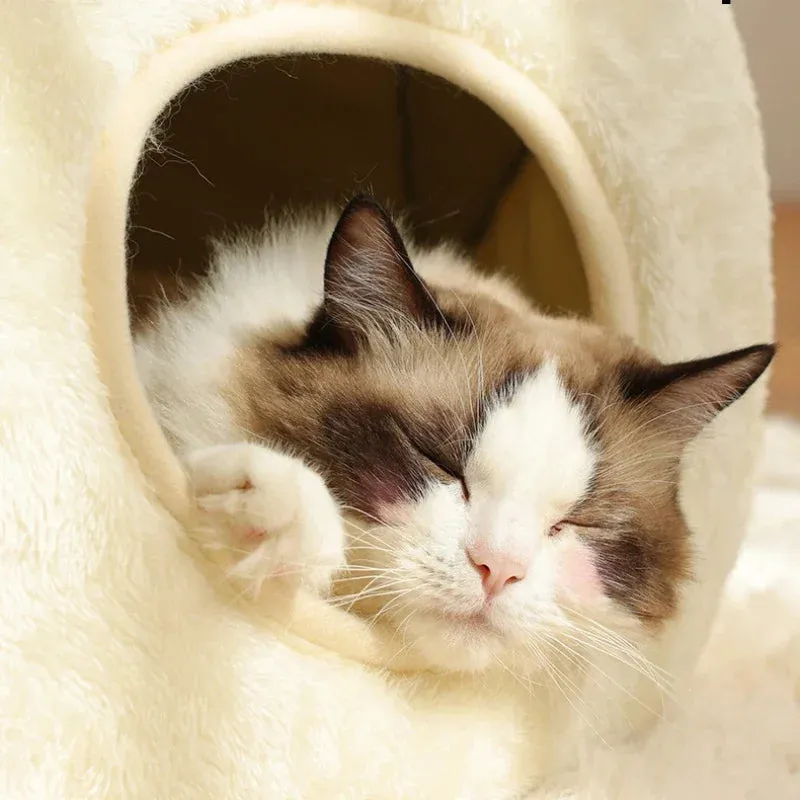 Green Frog Pet Bed