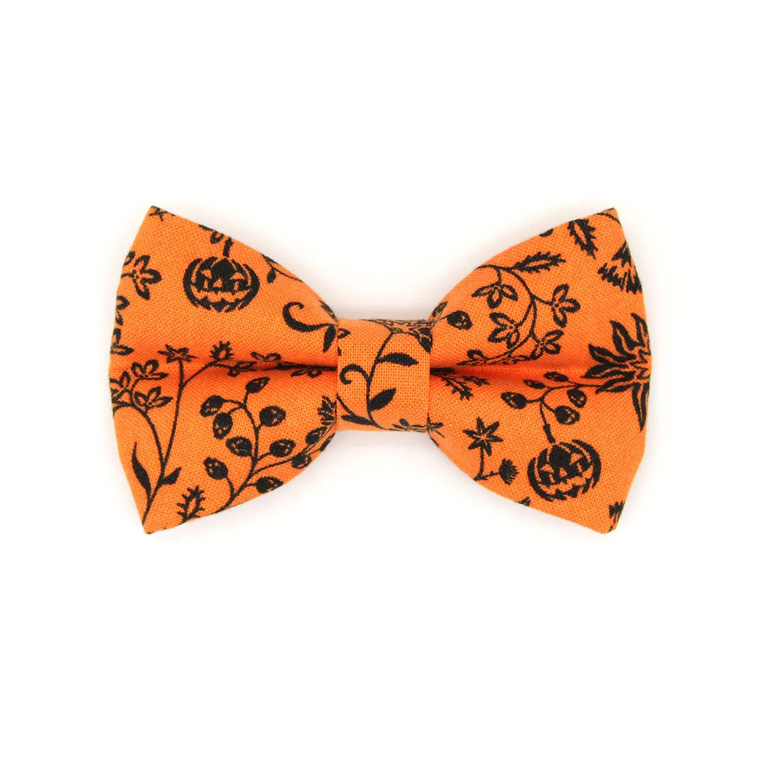 Halloween Pet Bow Tie - "Gothic Halloween" - Black & Orange Bow Tie for Cat / Spooky Floral / For Cats   Small Dogs (One Size)