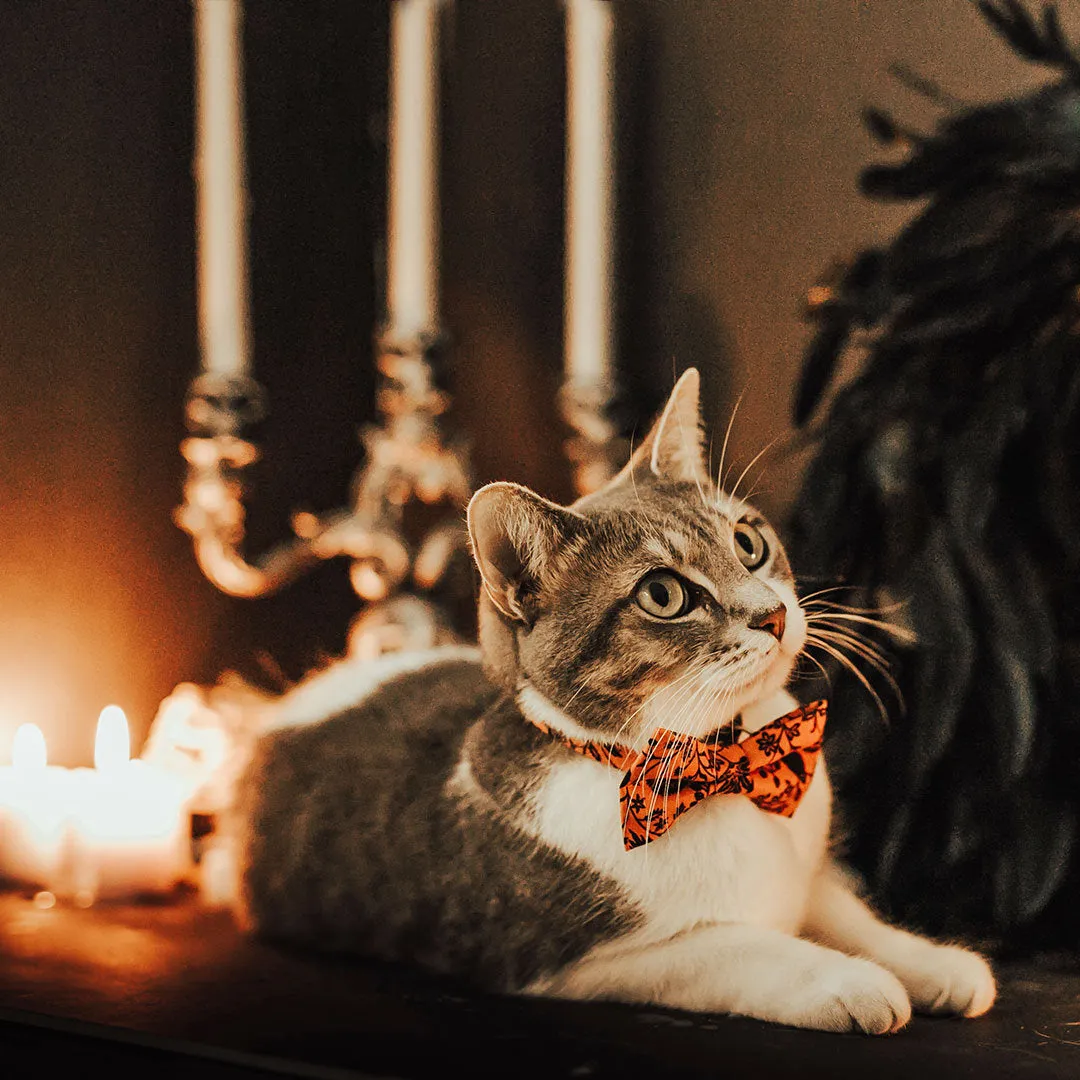 Halloween Pet Bow Tie - "Gothic Halloween" - Black & Orange Bow Tie for Cat / Spooky Floral / For Cats   Small Dogs (One Size)